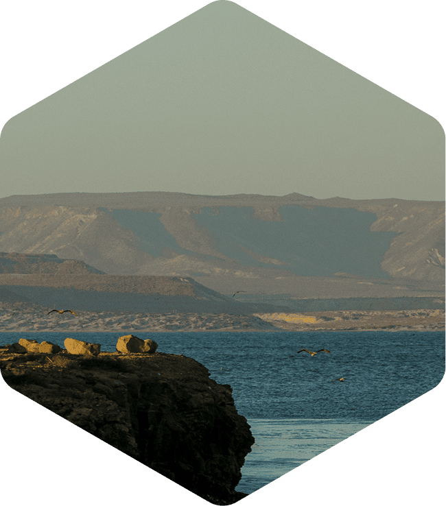 Exclusive access to all sales events