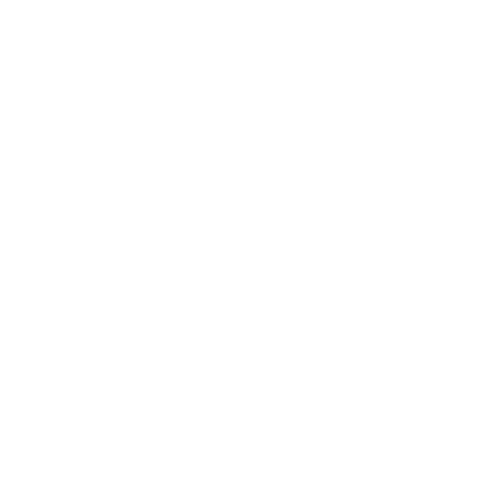 New item icon