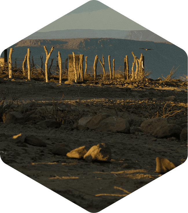 Earn points on every order